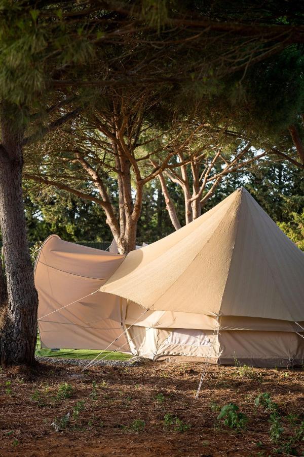 Glamping La Mimosa Conil Hotel Conil De La Frontera Luaran gambar